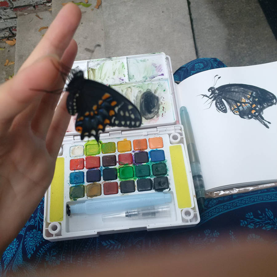 Children's Book Author & Illustrator Julia Sarcone-Roach