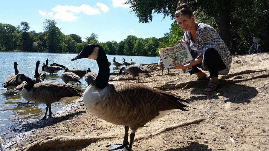 Children's Book Author & Illustrator Julia Sarcone-Roach