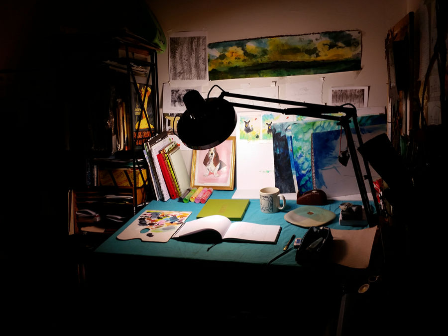 Children's Book Author & Illustrator Julia Sarcone-Roach