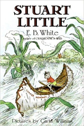 Stuart Little Book Quiz