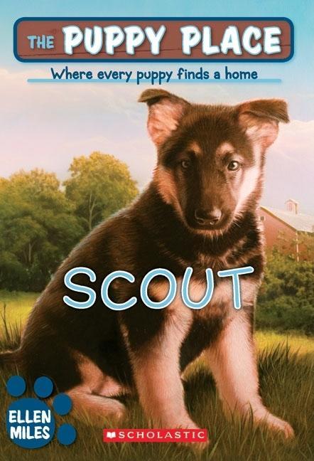 Cover of Scout