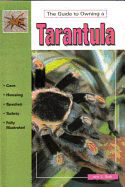 The Guide to Owning a Tarantula