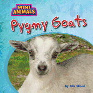 Pygmy Goats