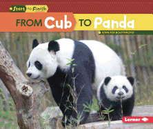 From Cub to Panda