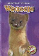 Weasels
