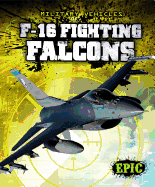 F-16 Fighting Falcons