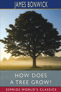 How Does a Tree Grow?
