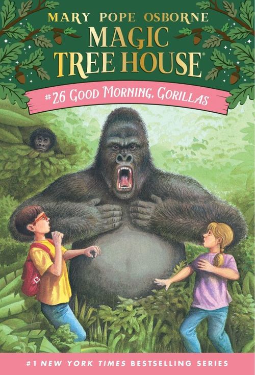 Good Morning, Gorillas book