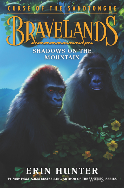 Shadows on the Mountain book